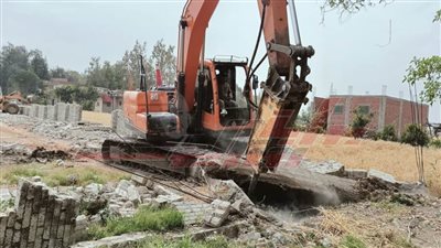 كفر الشيخ: تتصدي للتعديات على أملاك الدولة والأراضي الزراعية