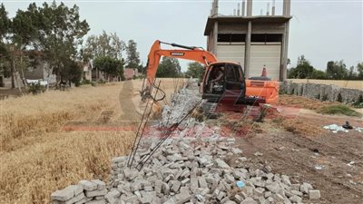 تفعيل لجان معنية لمواجهة التعديات ومخالفات البناء على الأراضى الزراعية