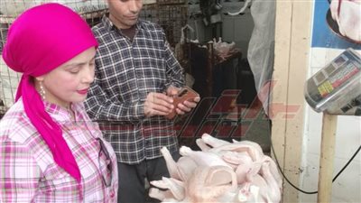 كفر الشيخ تشن حملات رقابية على الأنشطة التجارية بالحامول