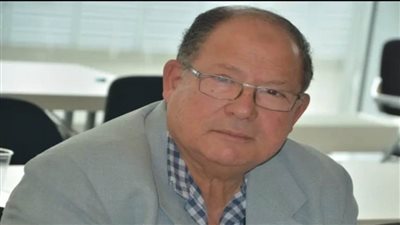 قيادي بـ«حماة الوطن»: