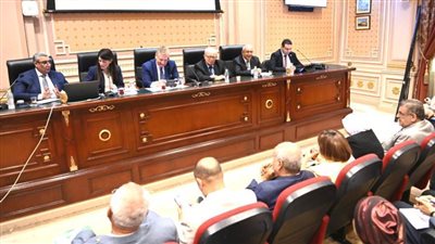 المشاط: لائحة تنفيذية لقانون التخطيط.. وصندوق النقد خفض توقعاته للنمو العالمي