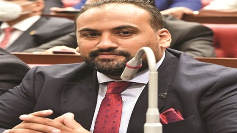 النائب محمد الرشيدي