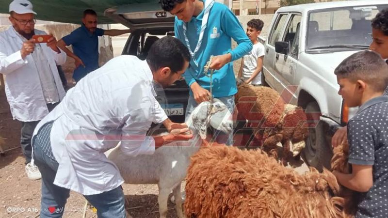 الخدمات البيطرية