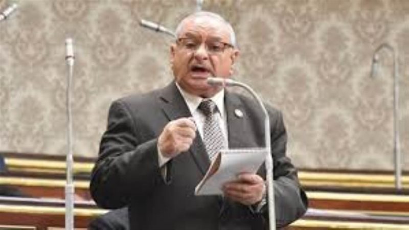 النائب محمد أبو زيد