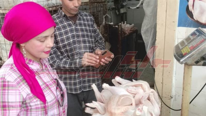 الحملات الرقابية