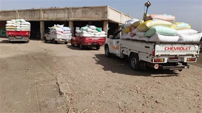 وسط تيسير الإجراءات.. شون وصوامع البحيرة تواصل استقبال أقماح المزارعين 