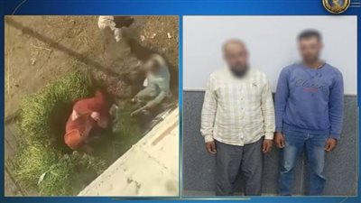 كشف ملابسات تداول مقطع فيديو يتضمن تعدي شخصين على سيدة بالضرب بالدقهلية 