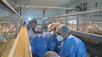 نائب محافظ المنيا يؤكد: نسعى لتحقيق الاكتفاء الذاتي وتعزيز الأمن الغذائي