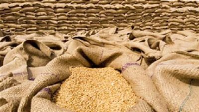  شون وصوامع الغربية تتسلم 83 ألف طن قمح 