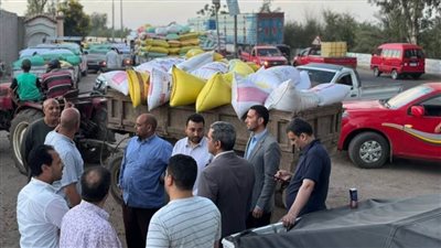 عالى الجودة ومطابق للمواصفات.. توريد أكثر من 150 ألف طن قمح محلي