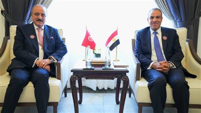 وزير الخارجية يؤكد الحرص على الارتقاء بالتعاون المشترك بين مصر وتونس