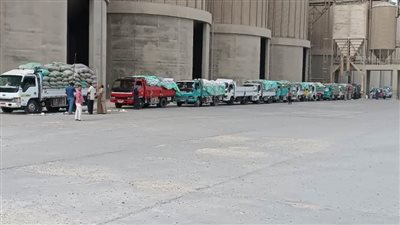 المنيا.. استقبال 315 ألف طن من القمح بالشون والصوامع
