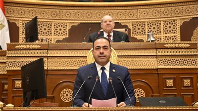 رئيس شباب النواب: مصر ظلت صوتًا قويًا ومعبرًا عن طموحات شعوب الجنوب