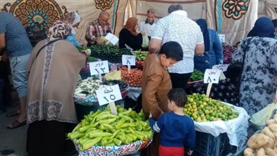 محافظ الدقهلية:استمرار أسواق اليوم الواحد بأسعار تنافسية اليوم وغدا