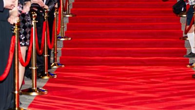 مصر تتألق في مهرجان كان: مستقبل السينما المصرية بين الإبداع والتوسع العالمي