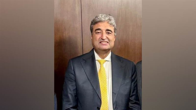 عمرو الألفي عضو مجلس