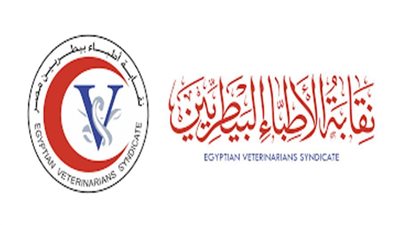 الزراعة تعلن تعيين 4 آلاف طبيب بيطري قريبًا لتفعيل خطط الدولة في الثروة الحيوانية