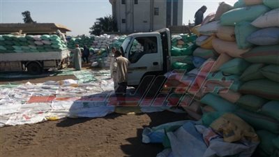 شون صوامع كفر الشيخ تستقبل 157583 طنًا و153 كليو قمح محلي بكفر الشيخ 