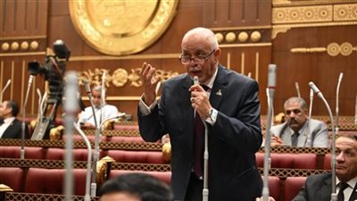 الجندى: خطاب السيسي في قمة بغداد أعاد التأكيد على ثوابت مصر تجاه فلسطين