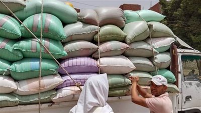 محافظ المنيا توريد 344 ألف طن من القمح بالصوامع والشون