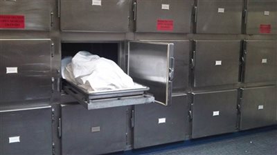 وفاة مسنة سقطت عليها نخلة بسبب الطقس السيئ في شبين القناطر 