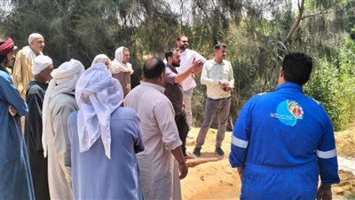 رئيس مياه القناة: استخراج جذور الأشجار من شبكات قرية ميت أبو الكوم شرق الإسماعيلية 