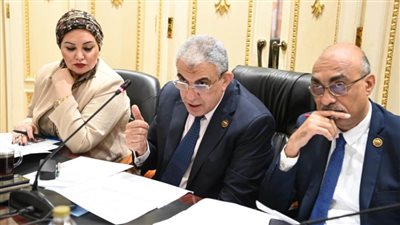 عاجل| 700 جنيها علاوات وحوافز.. بشرى سارة من لجنة القوى العاملة بالنواب 