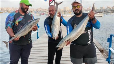 الاتحاد المصري لرياضة صيد الأسماك  يستعد لانطلاق بطولة الإسكندرية المفتوحة 