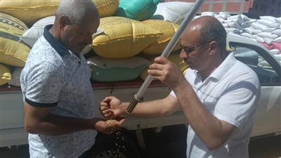 البحيرة: توريد أكثر من 210 آلاف طن قمح بشون وصوامع البحيرة