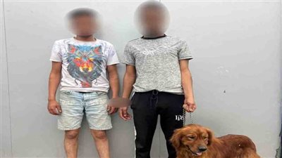 كشف ملابسات قيام شخصين باحتجاز آخر وتهديده باستخدام كلب بالقاهرة