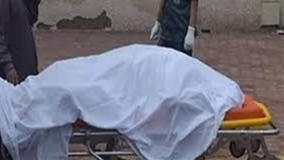 تفاصيل ذبح مسن 93 سنة وفصل رأسه على يد نجلة بأسوان 