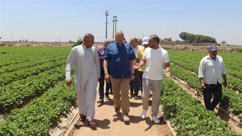 محافظ القليوبية يتفقد