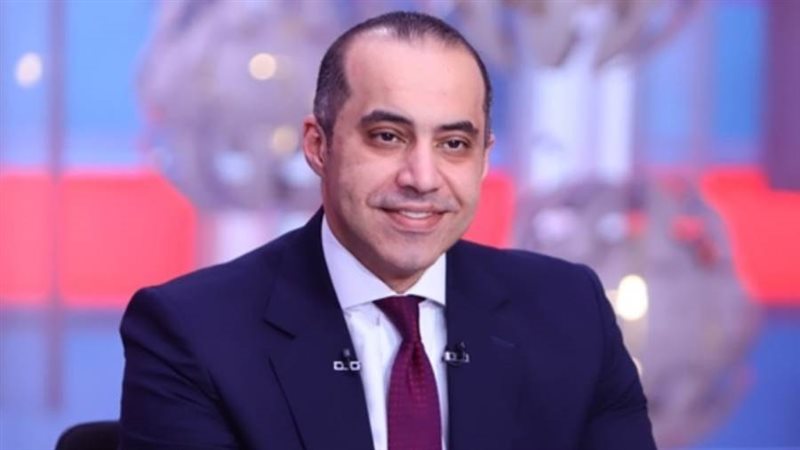 المستشار محمود فوزي