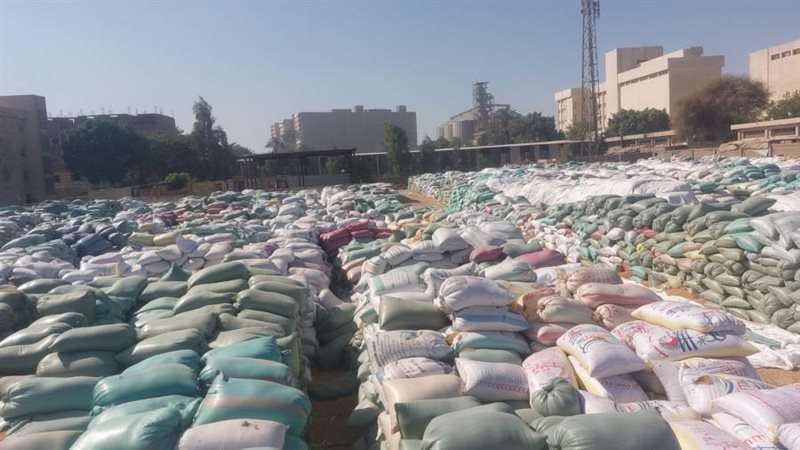 توريد القمح