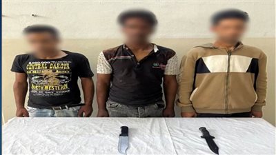 كشف ملابسات تداول فيديو يتضمن مشاجرة بين بعض الأشخاص باستخدام أسلحة بيضاء بالشرقية