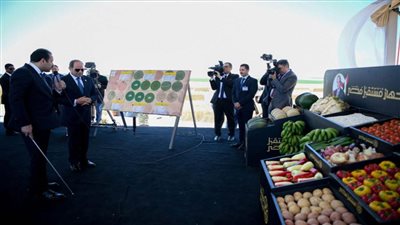 حزبيو: مشروع 