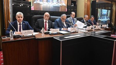 تشريعية النواب توافق مبدئيا على مشروع تعديل قانون انتخابات النواب وتقسيم الدوائر الانتخابية