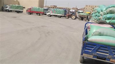توريد 408 آلاف طن من القمح بشون وصوامع المنيا