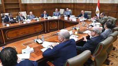 عاجل.. بدء اجتماع اللجنة التشريعية بالشيوخ لمناقشة تعديل الدوائر الانتخابية.. صور