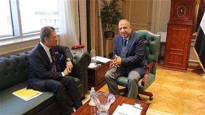 وزير الكهرباء: نستهدف توسيع التعاون مع الشركات السويسرية في الطاقة المتجددة