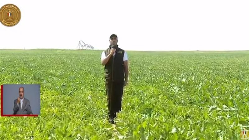 افتتاح عدد من المشروعات