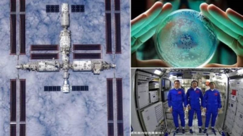 بكتيريا مجهولة