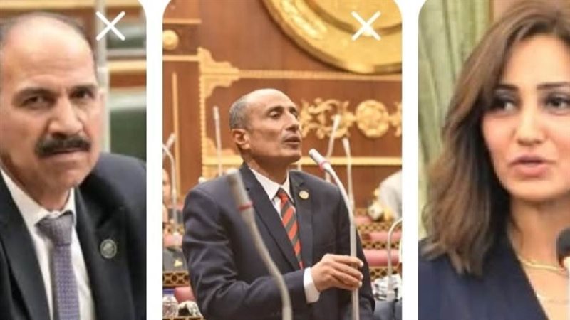 تحركات برلمانية لأعضاء