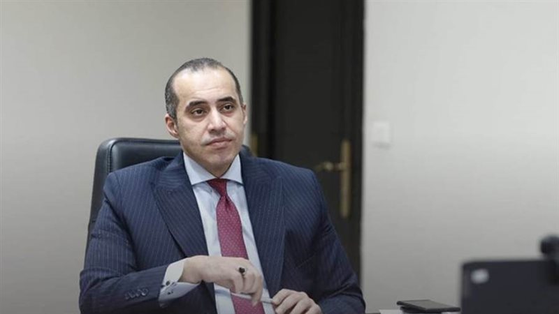 المستشار محمود فوزي