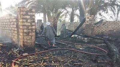 السيطرة على حريق شب بمحصول قصب بإحدى قرى أبوقرقاص بالمنيا 