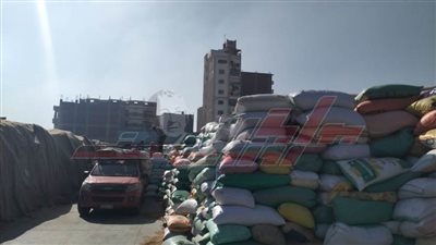 توريد 202589 طنا و898 كيلو قمح محلي بكفر الشيخ 