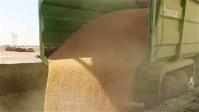  توريد 355 ألفًا و466 طنا من القمح بالصوامع والشون والبناكر بأسوان 