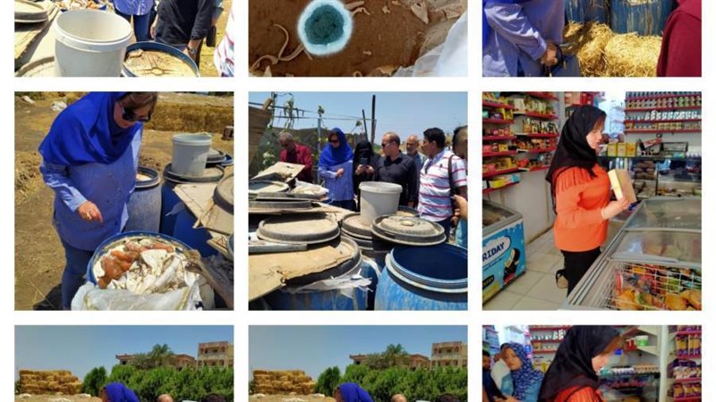 جانب من حملات سلامة