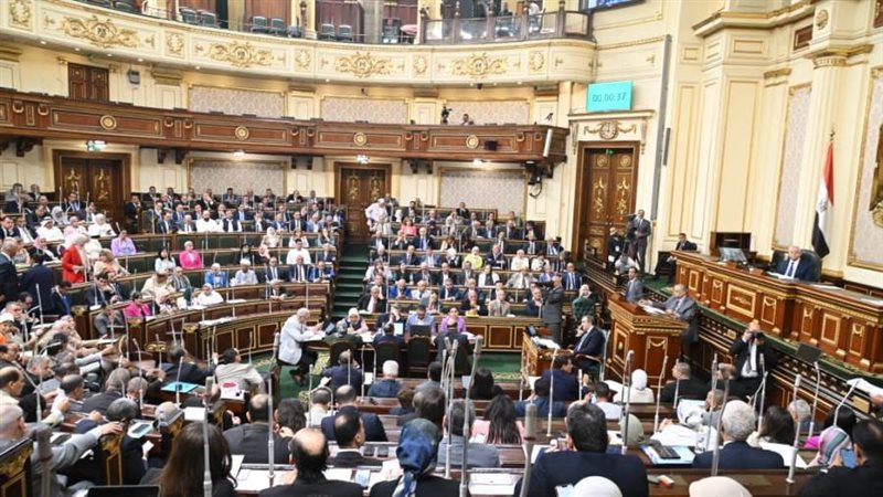 جانب من الجلسة