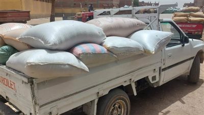 ضبط 6 أطنان قمح مسوس وتحرير 571 محضرًا خلال حملات تموينية مكثفة بأسيوط